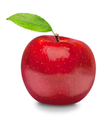 May Jacob : Nutrição Comportamental