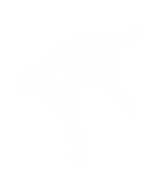 Palm11_Dance_Icon_White.png