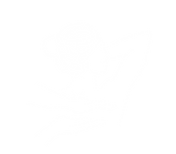 Palm11_Massage_Icon_White.png