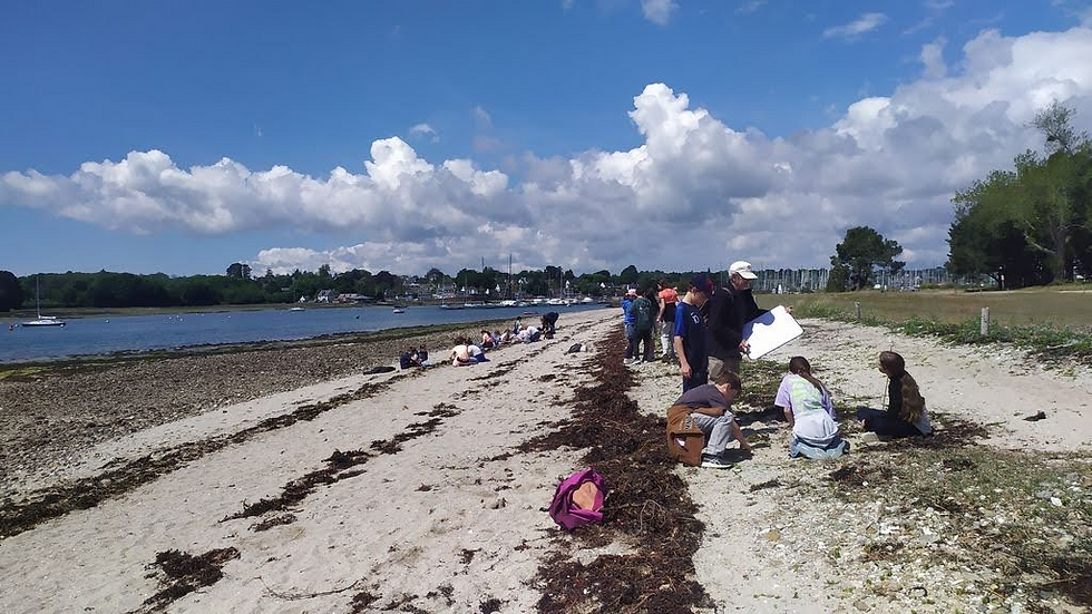 Sortie « Laisse de mer » le 7 mai 2026 avec la classe de CM2