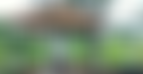 Contra preconceito, Campo Grande ganha Dia Municipal do Preto Velho