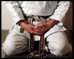 Karate-Foto-Confederacao-Brasileira-de-Karate-Shotokan-630x504.jpg