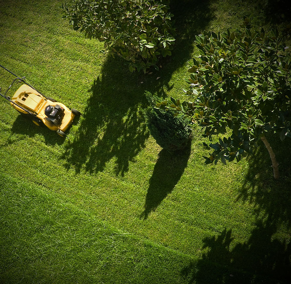 Man Mowing Lawn