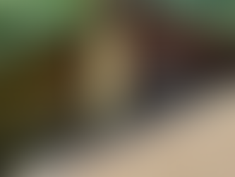 Emergency Log Home Repair Tips After Storm Damage