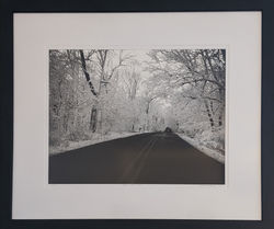 Snow Canopy Road