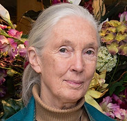 Jane_Goodall_2015.jpeg