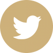 twitter icon round transparent.png