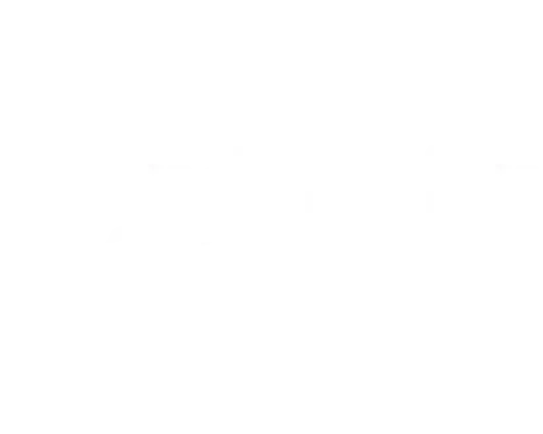 SO_vaakalogo_invertoitu_RGB (17).webp