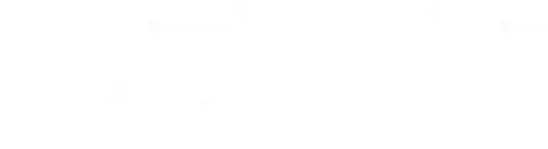 SO_vaakalogo_invertoitu_RGB (17).webp