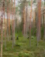 Img-14 (3).webp