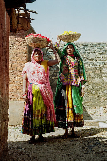 Udaipur selects_1.jpg