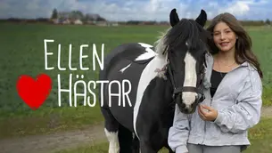 Ellen hjärta hästar