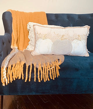 by design interiors, interior-design-designer-homes-falldecor-houstoninteriordesigner-designer-near-me-designforhomes-home designer-texas-interior-design-help-desighelp-designerforhouston-houston-designerhoustontexas-texasdesignstudio-firm-near-me-accessories-falldecor-throws-pillows