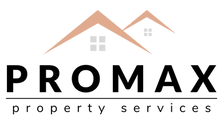 PROMAXLOGO21.png
