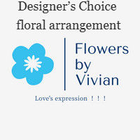 Designer's Choice - Premium
