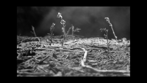 Golem (2017) - the first animated short film