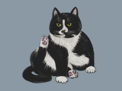 Digital lllustration