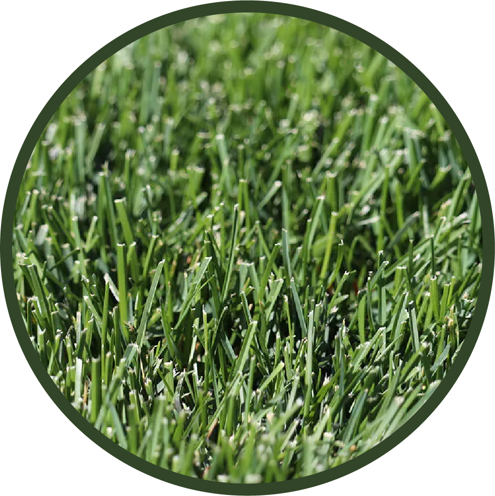 Asset 15_4x.png