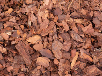 Pine Bark Nuggets
