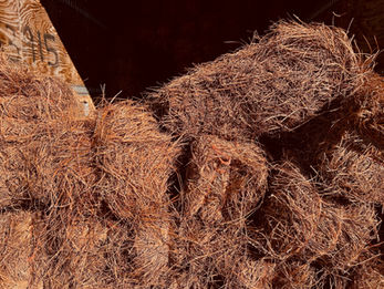 Long Needle Pine Straw