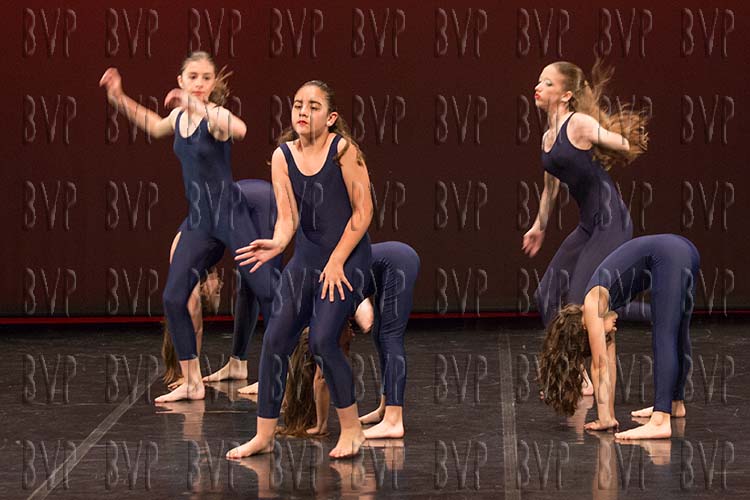 0456_Danzarte2018MA