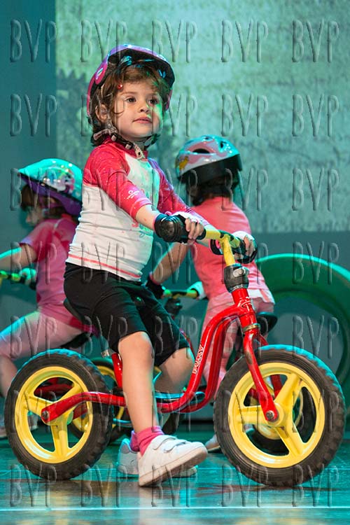 237FMF2019