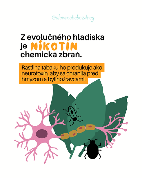 snus, nikotínové vrecká, vape a cigarety.png