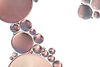 4 Biological.png