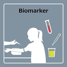 1-5 生体指標法-min.jpg