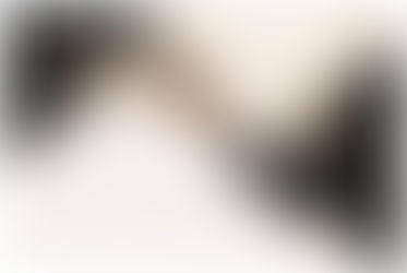 Buying or Leasing Commercial Property – Three Reasons Not to DIY