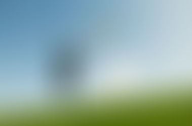 Chasing Accurate Market Data in Commercial Real Estate