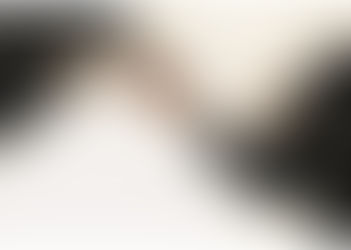 The Value an Agent Gives a Landlord