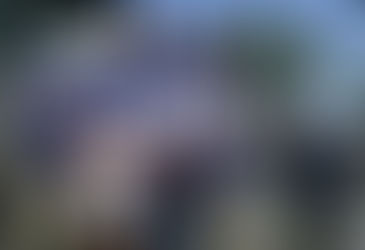 Miller Industrial Properties are proud supporters of the University of Nevada Reno Wolf Pack