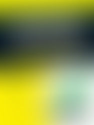 Beyond the Real Estate License