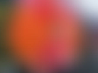 RTC’s Virtual Virginia Street Project Completion Look Book