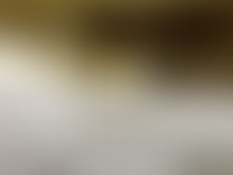 A Guide to Tenant Improvements for the Industrial Client