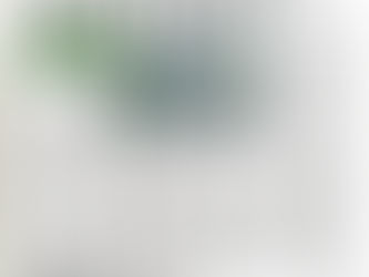 NNBW Taps Brad Lancaster of MIP for Article