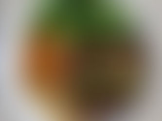 Go BROTH-LESS! 🍜
Mì Khô Huế Ơi aka Dry Egg Noodles is becoming a crowd favorite! 😋