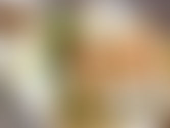 Spring Rolls aka Goi Cuon