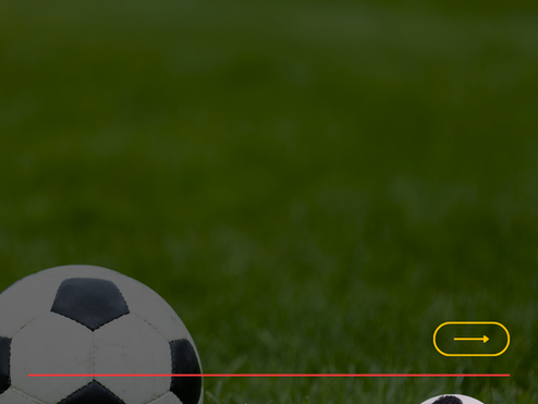 Além do campo: como o esporte movimenta a economia brasileira