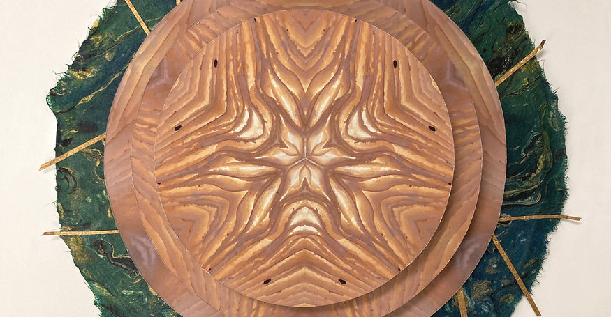 Elizabeth Addison, Opposing States, mixed media dimensional collage