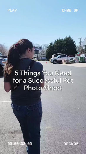 5 Things You Need for a Successful Pet Photo Shoot