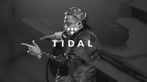 Tidal Wave: Could These Fraud Allegations Be the Destruction of Tidal?