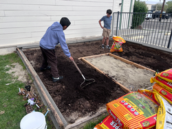 Gardening