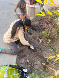 Gardening