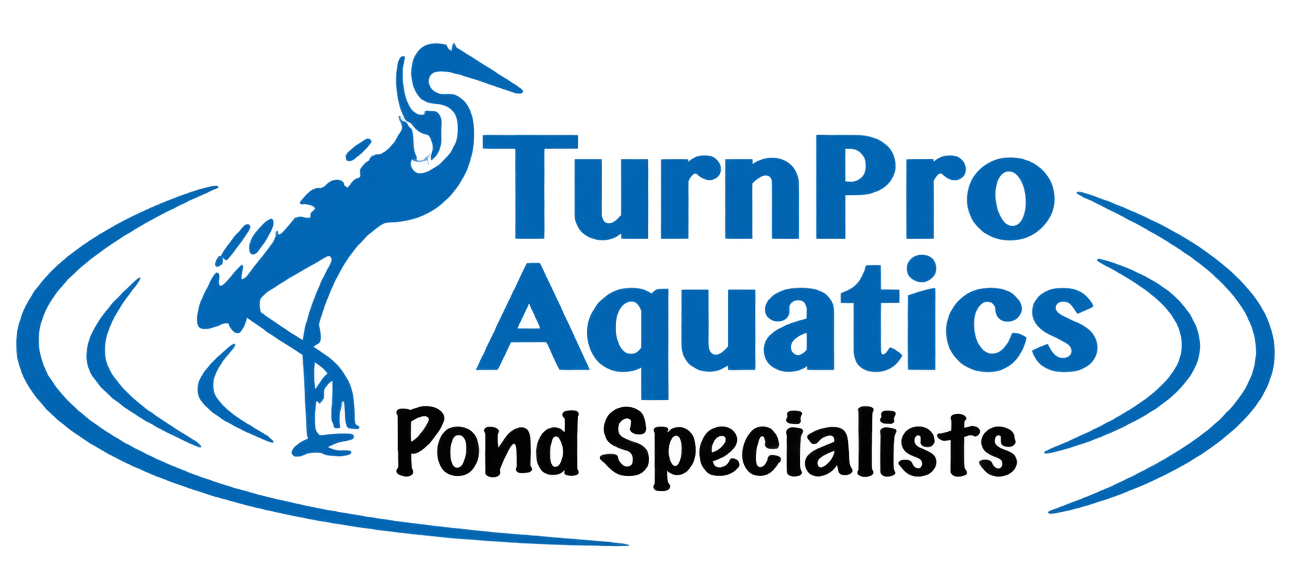 PNG Logo.PNG