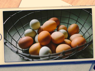 Lägger du alla ägg i en (digital) korg?