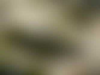 La thérapie holistique : fondements de la thérapie holistique