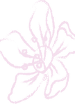 Blumen_hellrosa_coated-2_edited.png