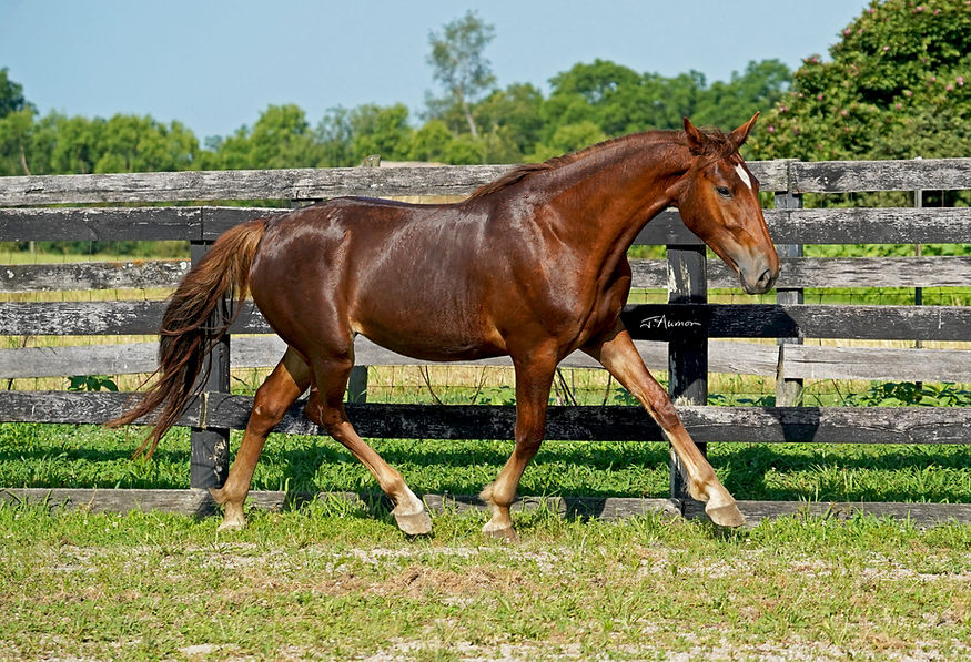 DSC09437asgn.jpg